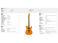 Fender Special Edition Custom Telecaster FMT HH Amber Fender Special Edition Custom Telecaster FMT HH Amber